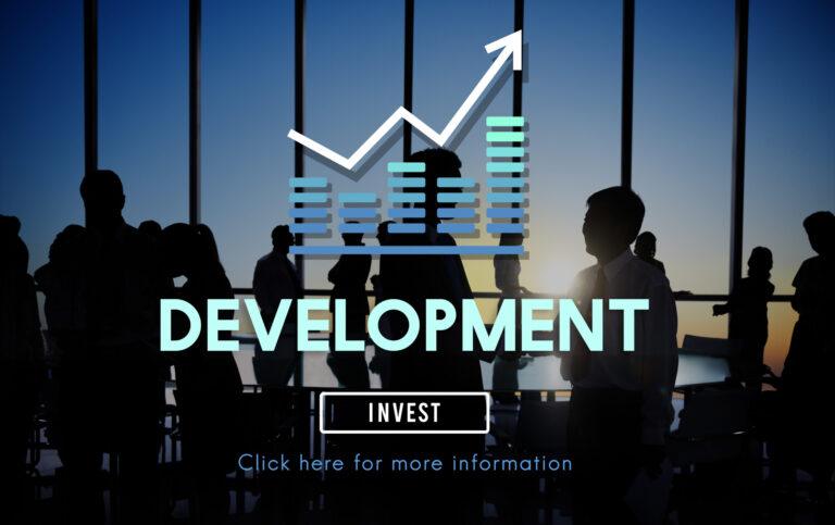 Web Development Consultants